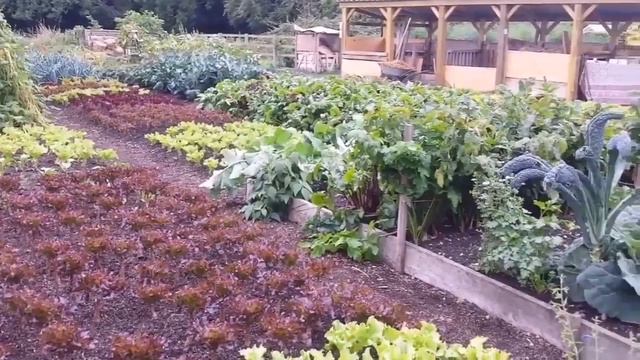 Visiting Charles Dowding: Organic No Dig Garden in Somerset, England смотреть онлайн