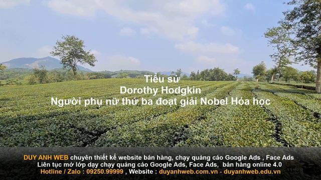 Tiểu sử Dorothy Hodgkin Người phụ nữ thứ ba đoạt giải Nobel Hóa học смотреть онлайн