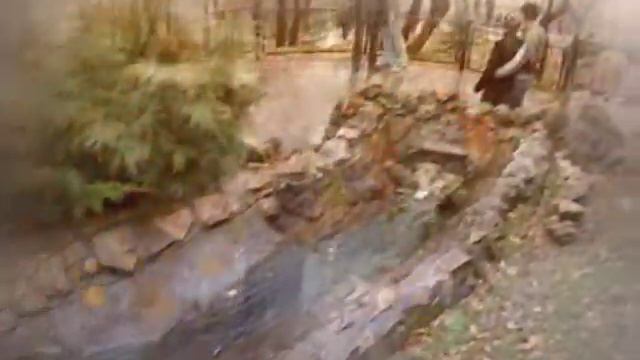 Нижнекамская  свадьба