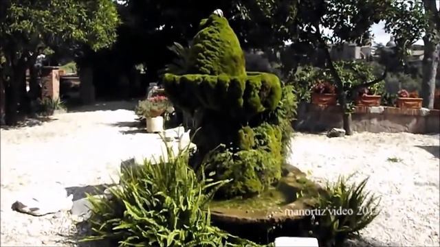 Colosseo e Celio dal Giardino di san Bonaventura al Palatino by manortiz смотреть онлайн