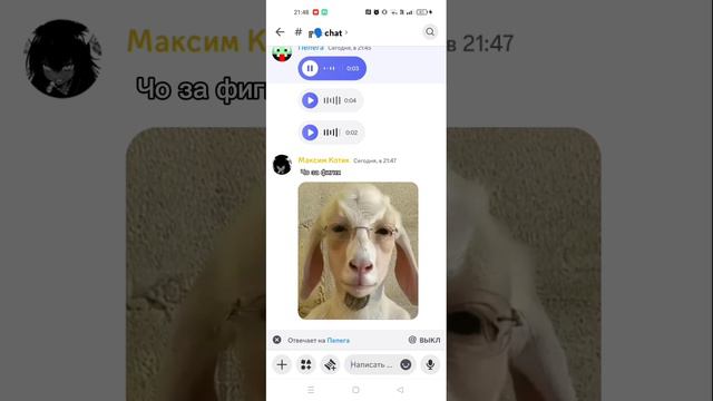 Типичный дискорд сервер смотреть онлайн