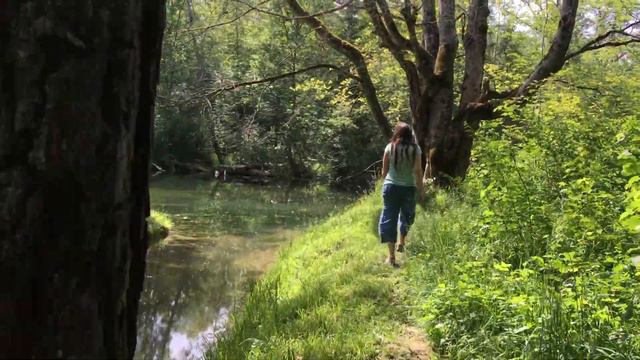 Daniel Sánchez Y Mira - Mira, Mira (Mira Schau, Schau Schau)