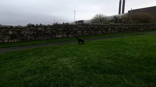 Buncrana Co Donegal Morning Walk Part One, Coastal Walk to the Motorhome Park. 27th November 2022 смотреть онлайн