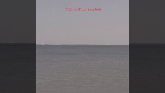 Tesi Resolta Sobre Tornar A Casa