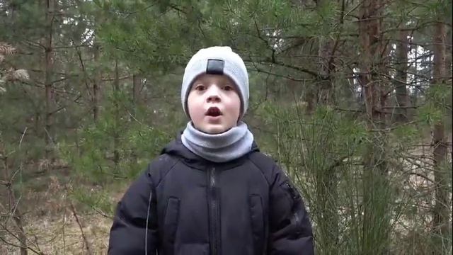 Праект: 