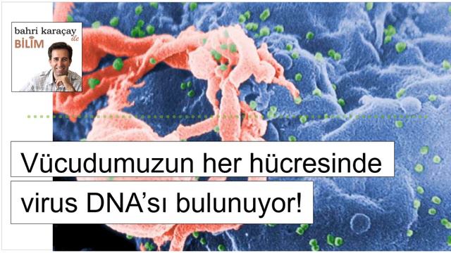 Hucrelerimizdeki virus DNA'si смотреть онлайн