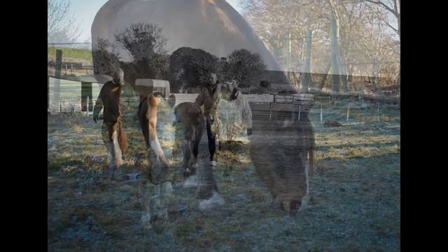 Bertie (Bassett) & Billy (My Blue Charm) смотреть онлайн