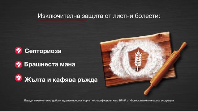 LG АБСАЛОН - най-новата селекция пшеница от LG смотреть онлайн