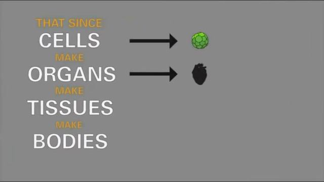Stem Cells explained смотреть онлайн