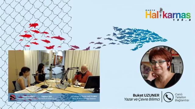 DENİZİN SESİ | Yunuslara Özgürlük смотреть онлайн