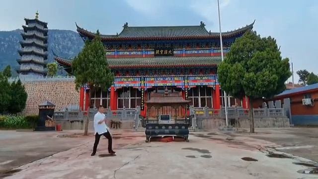 Shaolin Luohan Quan 少林罗汉拳 - Zhang Shi Jie 张士杰