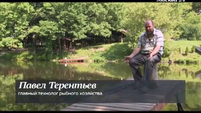 Самый день смотреть онлайн