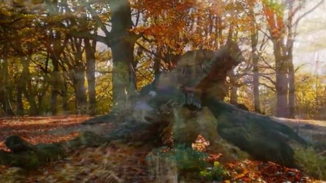 Chopin, Nocturne in D flat major, op.27, no.2, Alexis Weissenberg смотреть онлайн