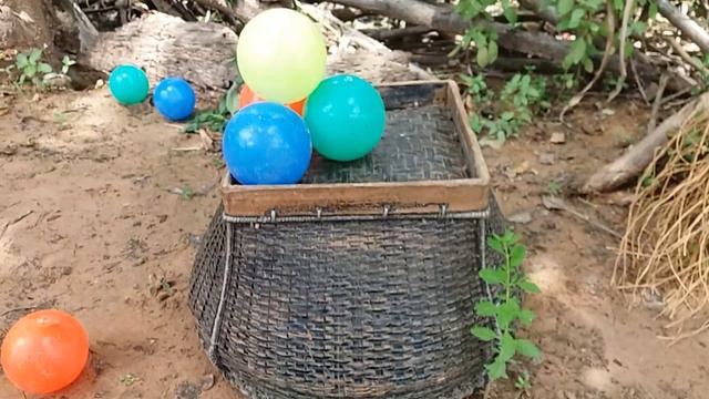 Catching millions of cute chickens ,Colorful chicks ,Rainbow chick , Ducklings ,cat , Crab, Fish P1 смотреть онлайн