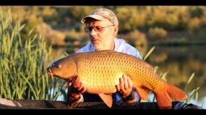 КУБОК МИРА. Первый фестиваль «Клуба Карпятников» . Карпфишинг , Carpfishing. Дубовый хуторок