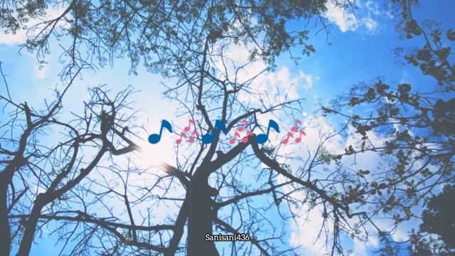 [COVER] Ryeowook Super Junior - Sakura Drops | Boom Voyage Concert | LIRIK SUB INDO