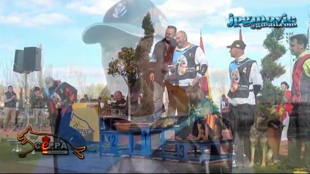 CNT 2012 Entrevista PEDRO LUIS GUTIERREZ