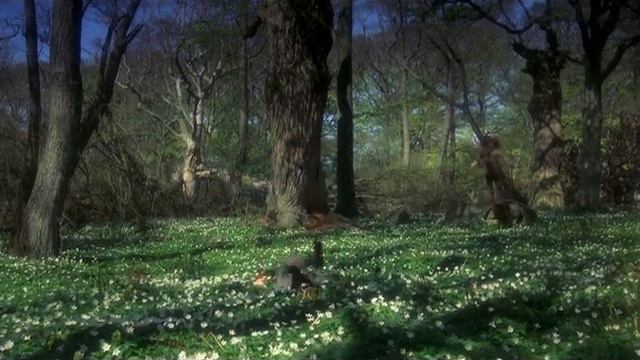 Роня,дъщерята на разбойника (1984) Бг аудио смотреть онлайн