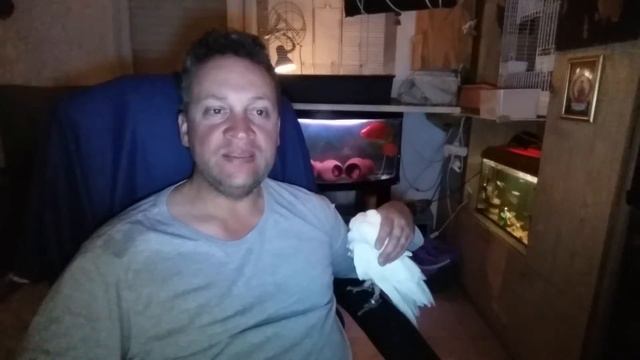 2 моих стихотворения для вас... смотреть онлайн