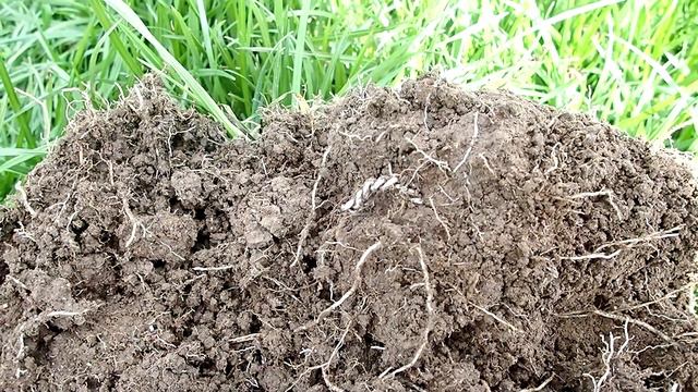 Metal detecting surprise. смотреть онлайн