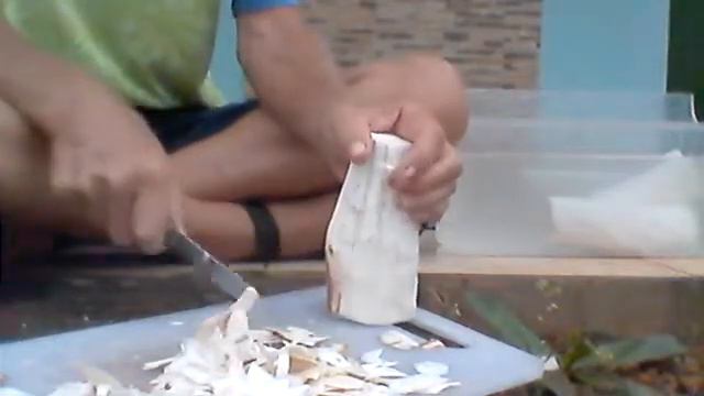 Carving Yuca (cassava) Roots, Talking to Audience about Panama, View at end of My Village смотреть онлайн