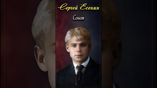 Сонет - Сергей Есенин (читает Алексей Лебедев) #shorts смотреть онлайн