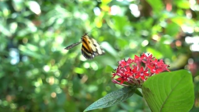 Parshva Tu Mera|Jain Mashup Song|Latest Jain Bhakti Song|Shankheshwar Parshwanath|pratik Gemawat