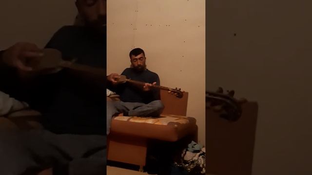 шамси таврези смотреть онлайн