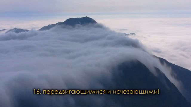 Махир аль-Му'айкли - Сура 81 «Скручивание» смотреть онлайн