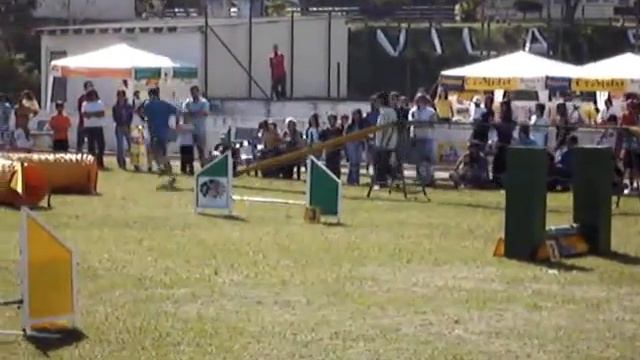 Garibaldi - The Flying Teckel in agility 2 смотреть онлайн