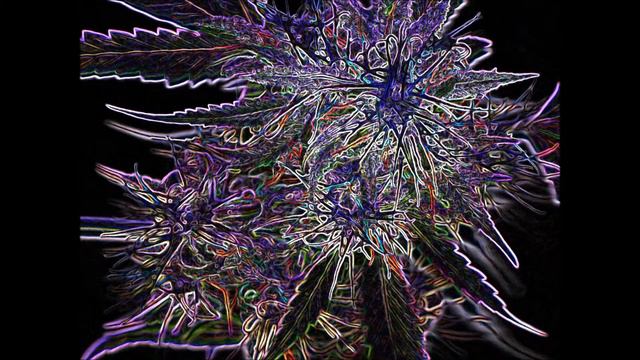 philby storm смотреть онлайн