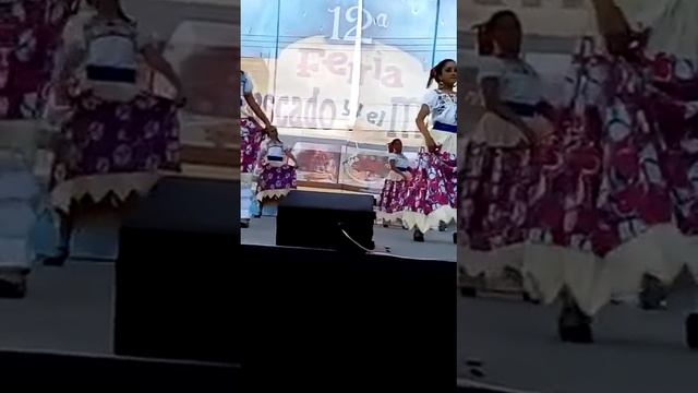 Cía. de Danzas Mexicanas "Vicente Guerrero" смотреть онлайн