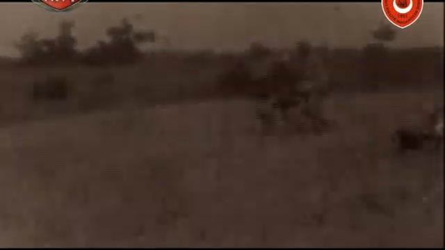 TÜRKİYE KUVAYİ MİLLİYE MÜCAHİTLER DERNEĞİ AYDIN ŞUBESİ ( TRT ADNAN MENDERES ) BELGESELİ смотреть онлайн