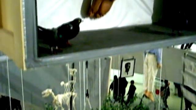 "All" Maurizio Cattelan NYC смотреть онлайн