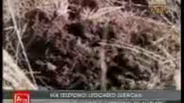 Entrevista A Dr. Luis Leal  Tema Compra De Fertilizantes, 24 Abril Canal Antigua.wmv