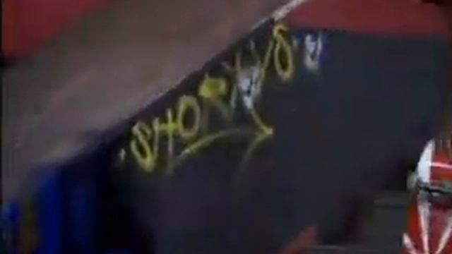 Ryan Sheckler, Bam Margera,chad Muska.