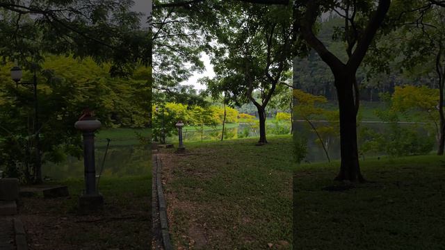 осень в чатучак парке в Бангкоке смотреть онлайн