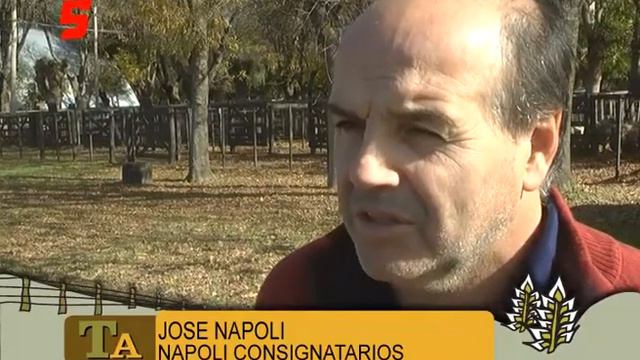 14 JOSE NAPOLI смотреть онлайн