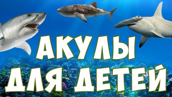 Акулы для детей ¦ морские животные ¦ учим рыб ¦ развивающее видео
