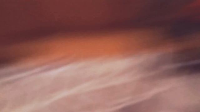 Ян кошка. Ян смотреть онлайн