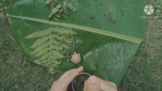 2 minute ot ghorua poidhotit dator bikhor dorob....#assamese vlog смотреть онлайн