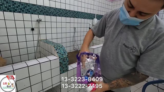 Pet Shop Lilli & Bull смотреть онлайн