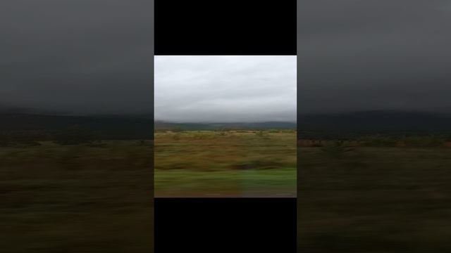 Первая поездка в Казахстан на автобусе, продолжение следует.