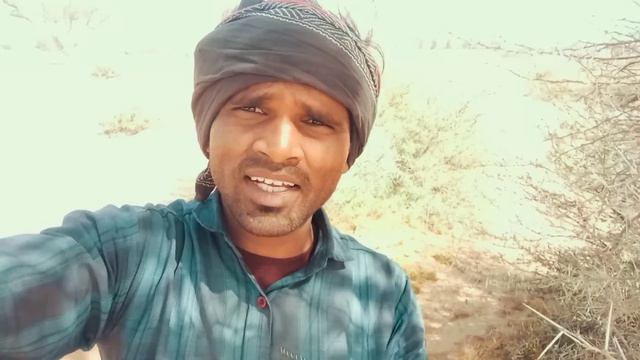 सऊदी अरब का सबसे बेकार काम मजरा का है | अकेले रहकर बकरी ऊंट चलाना पड़ता है | Chandan Saudi Arabia | смотреть онлайн