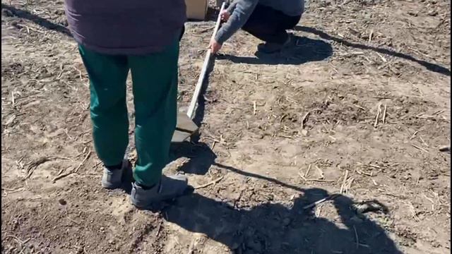 Технологічний процес висадки саду 2021 рік ФГ 