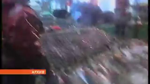 Дмитрий Дмитриенко выступил на расширенной коллегии Росрыболовства смотреть онлайн