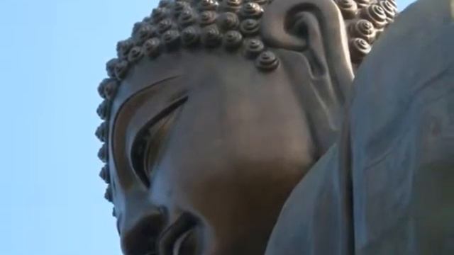 DHAMMAPADA - 8 MIGLIAIA смотреть онлайн