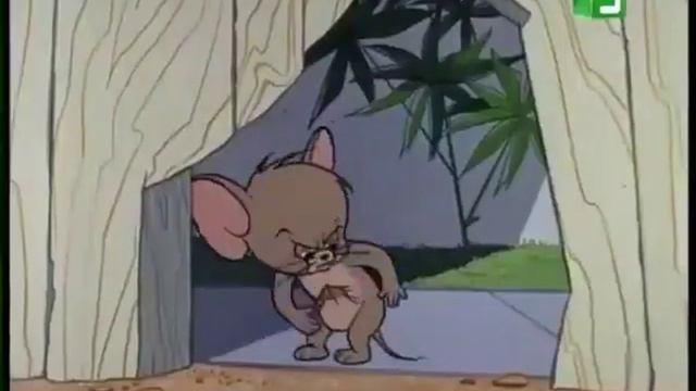 том и джери смотреть онлайн