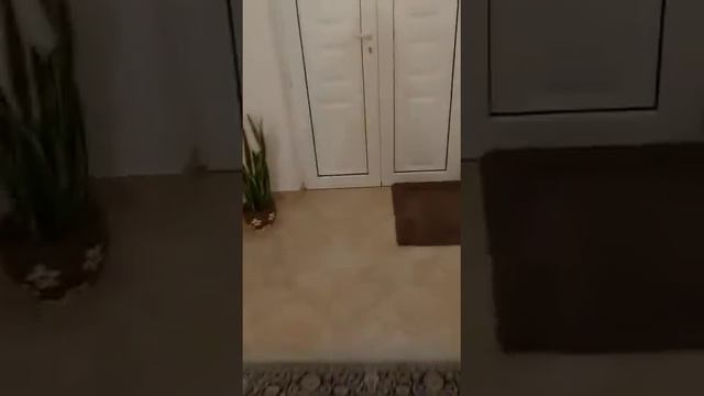 Cappa Aspirante Per Camino - GemiMarket Italy Video Recensione Di Nicola | TrustVideos 5/5