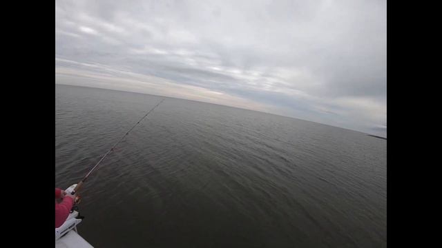 Mardi Gras Bulls, Redfishing In Louisiana